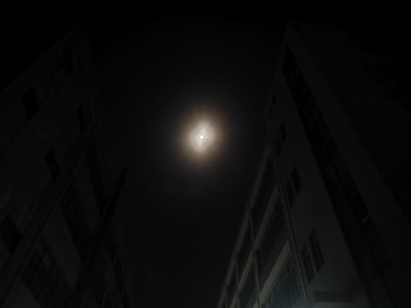为赋新词强说愁